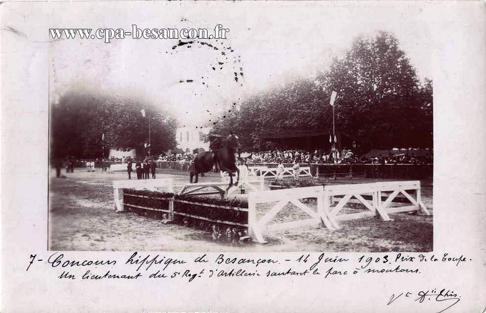 Concours hippique de Besançon - 14 Juin 1903. 3 - Prix de la Coupe. Un lieutenant du 5e Régt d'artillerie sautant le parc à montons.